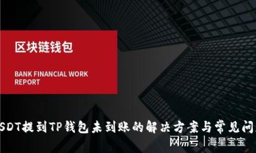 USDT提到TP钱包未到账的解决方案与常见问题