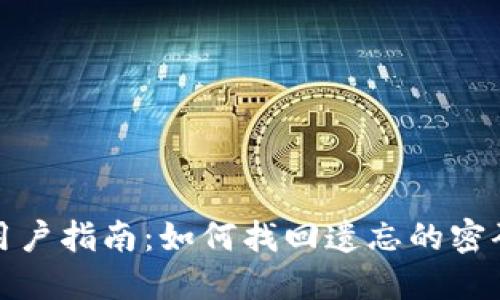 TP钱包用户指南：如何找回遗忘的密码与文件