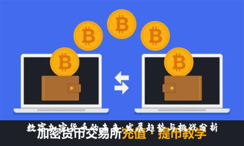 数字加密货币的未来：发展趋势与挑战分析