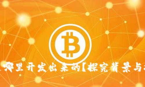 TP钱包是哪里开发出来的？探究背景与技术实施