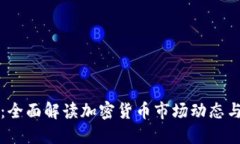 标题兔链晚报：全面解读