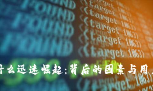 TP钱包为什么迅速崛起：背后的因素与用户体验分析