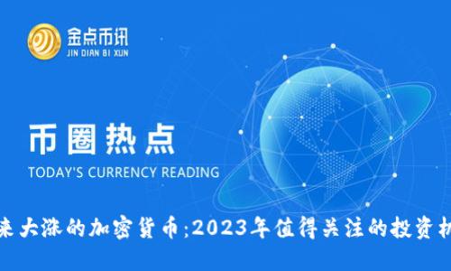 未来大涨的加密货币：2023年值得关注的投资机会