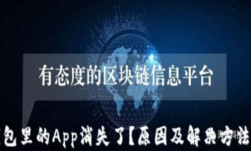 
TP钱包里的App消失了？原因及解决方法详解