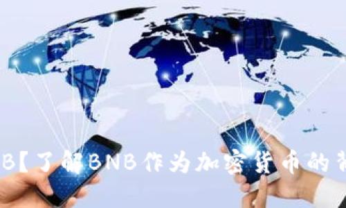 什么是BNB？了解BNB作为加密货币的背景与应用