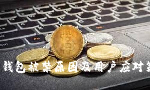  TP钱包被禁原因及用户应对策略