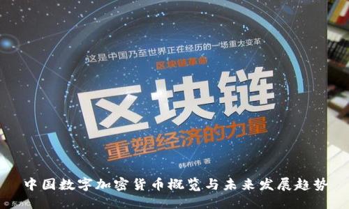 中国数字加密货币概览与未来发展趋势