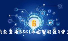 如何使用TP钱包查看BSC（币