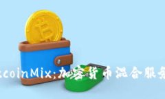 深入了解BitcoinMix：加密货