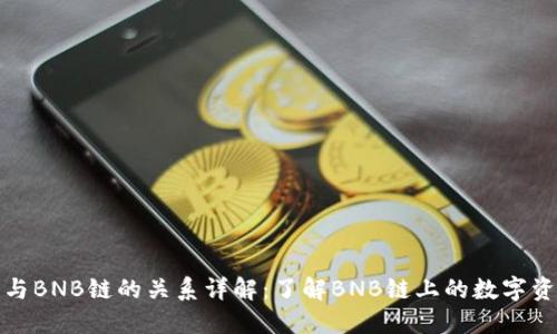 TP钱包与BNB链的关系详解：了解BNB链上的数字资产管理