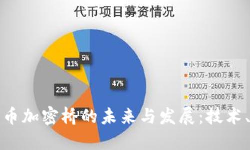 我国数字货币加密桥的未来与发展：技术、应用与挑战