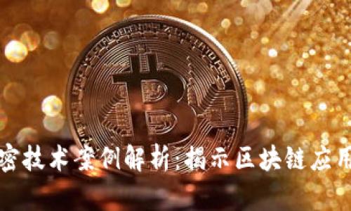 数字货币加密技术案例解析：揭示区块链应用的未来潜力