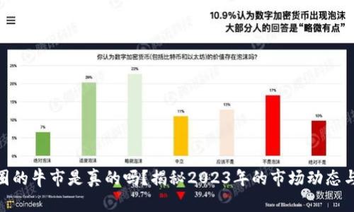 加密货币圈的牛市是真的吗？揭秘2023年的市场动态与投资机会