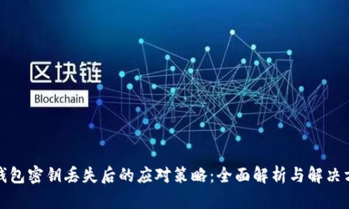 TP钱包密钥丢失后的应对策略：全面解析与解决方案