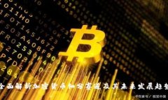 全面解析加密货币细分赛