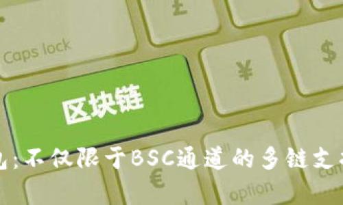 TP钱包：不仅限于BSC通道的多链支持解析