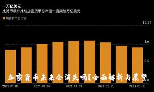 加密货币未来会消失吗？全面解析与展望