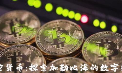 
巴布达加密货币：探索加勒比海的数字经济新机会