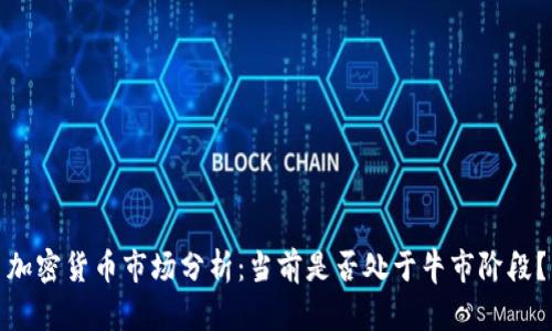 加密货币市场分析：当前是否处于牛市阶段？