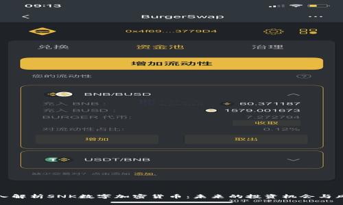 深入解析SNK数字加密货币：未来的投资机会与风险