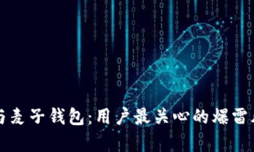 TP钱包与麦子钱包：用户最关心的爆雷风险分析
