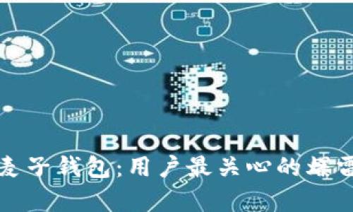 TP钱包与麦子钱包：用户最关心的爆雷风险分析