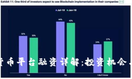 加密货币平台融资详解：投资机会与风险