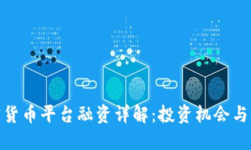 加密货币平台融资详解：投资机会与风险