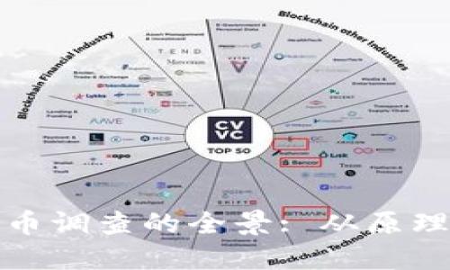 加密货币调查的全景: 从原理到实操