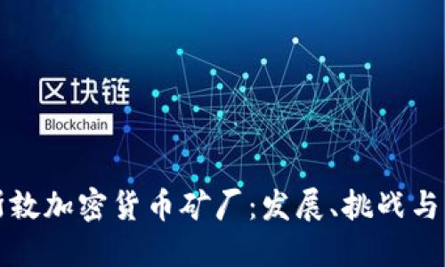 休斯敦加密货币矿厂：发展、挑战与未来