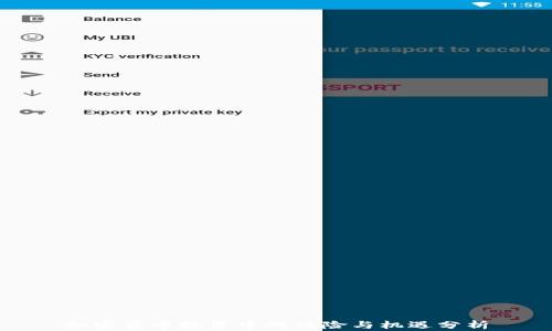
加密货币投资中的风险与机遇分析
