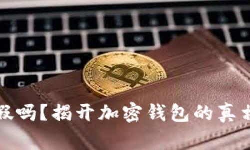 TP钱包能作假吗？揭开加密钱包的真相与安全分析