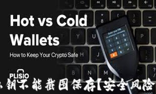 
为什么TP钱包私钥不能截图保存？安全风险与保护措施解析