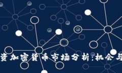 新投资加密货币市场分析