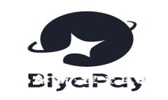 加密货币资产的全面解析