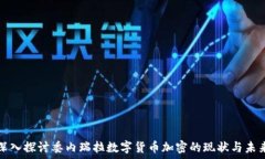   深入探讨委内瑞拉数字货