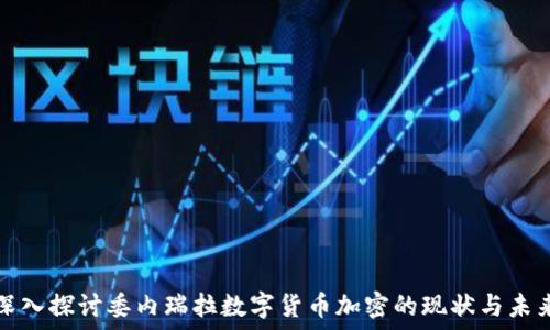   
深入探讨委内瑞拉数字货币加密的现状与未来