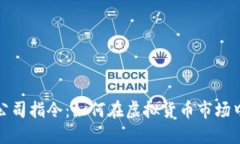 加密货币公司指令：如何