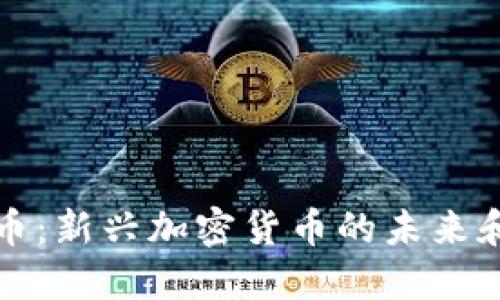 人类币:新兴加密货币的未来和潜力