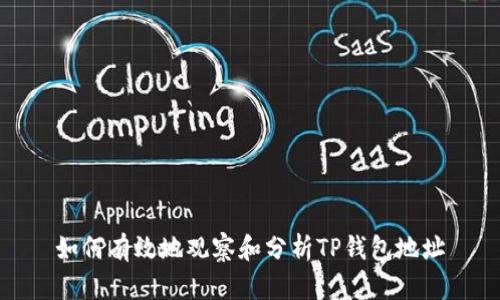 如何有效地观察和分析TP钱包地址