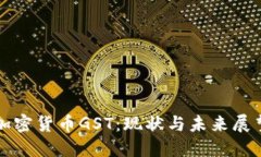 加密货币GST：现状与未来