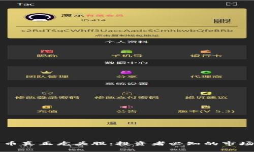 加密货币真正龙头股：投资者必知的市场领头羊