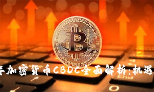 2023年加密货币CBDC全面解析：机遇与挑战