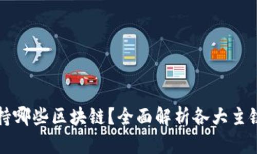 TP钱包支持哪些区块链？全面解析各大主链及其特点