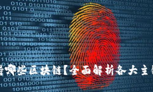 TP钱包支持哪些区块链？全面解析各大主链及其特点