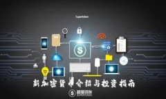 新加密货币介绍与投资指
