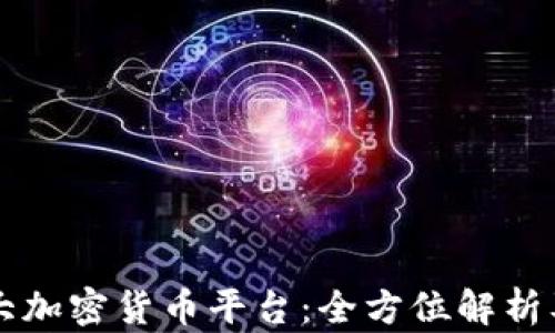 
新加坡最大加密货币平台：全方位解析及投资指南