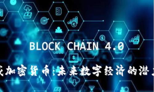 越南盛威加密货币：未来数字经济的潜力与挑战