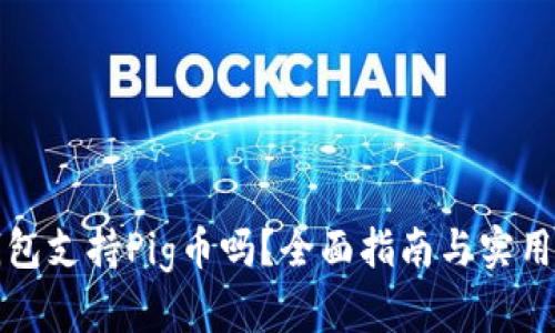 TP钱包支持Pig币吗？全面指南与实用信息