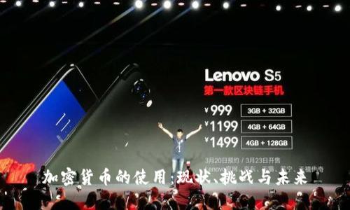 加密货币的使用：现状、挑战与未来
